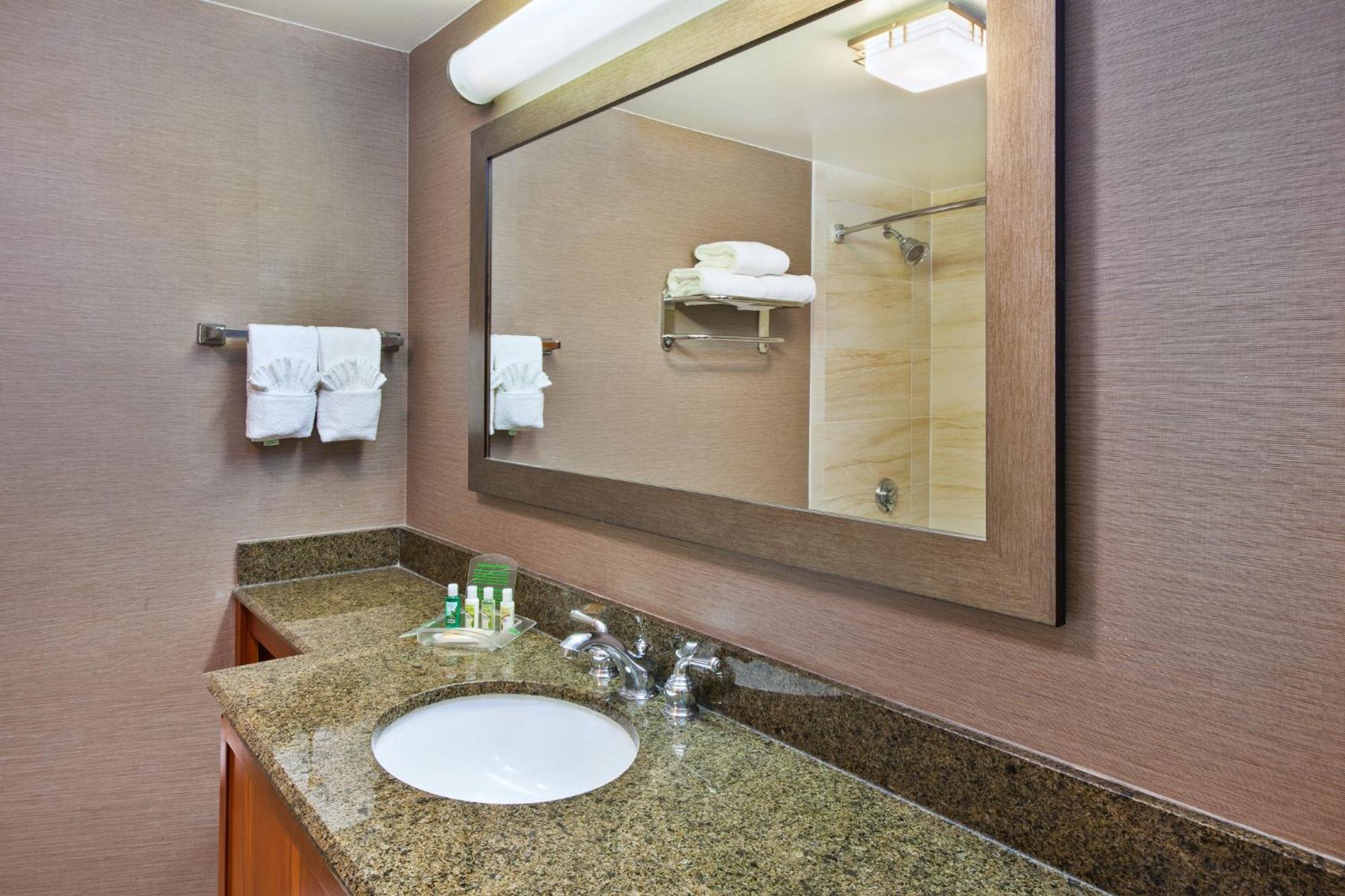 Holiday Inn Washington-Dulles International Airport By Ihg Sterling Exteriér fotografie